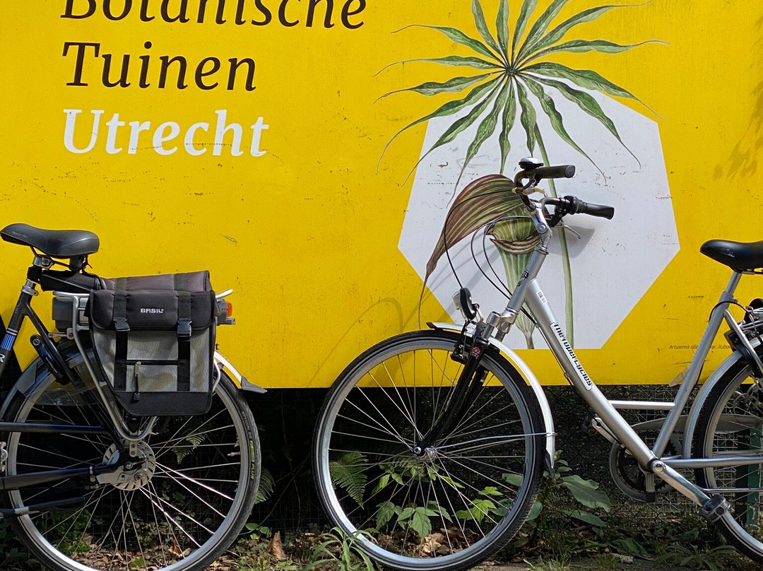 Utrecht University Botanic Gardens-乌特勒支必去景点