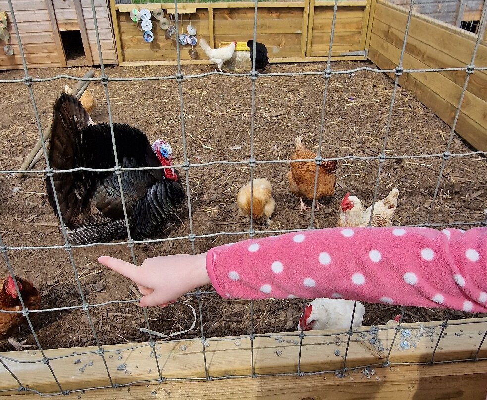 Willhome Farm Barn-Camrose必去景点