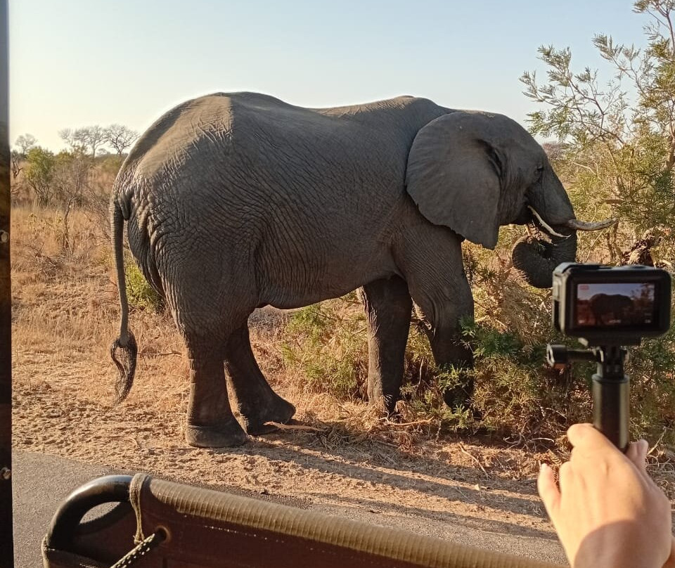 Legend Safaris-克鲁格国家公园必去景点