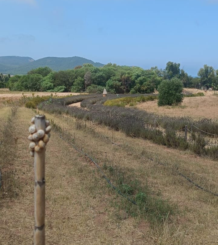 Bee Garden Alghero-阿尔盖罗必去景点