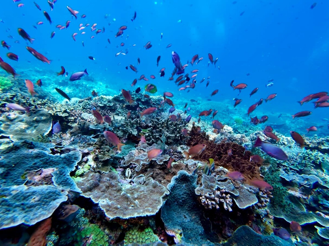 Captain Yin Yang-Pejukutan必去景点