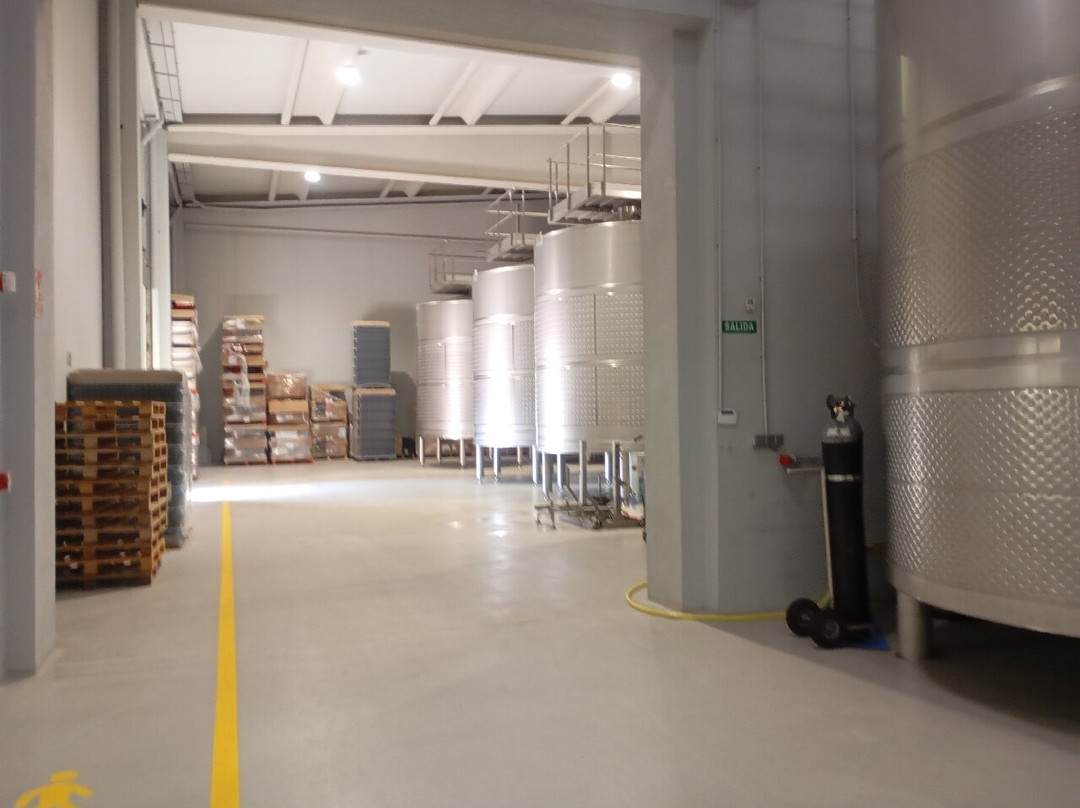 Nexus Valladolid Suites & Hotel主图