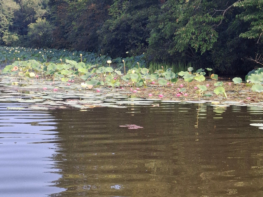 Lake Logan Marina-洛根必去景点