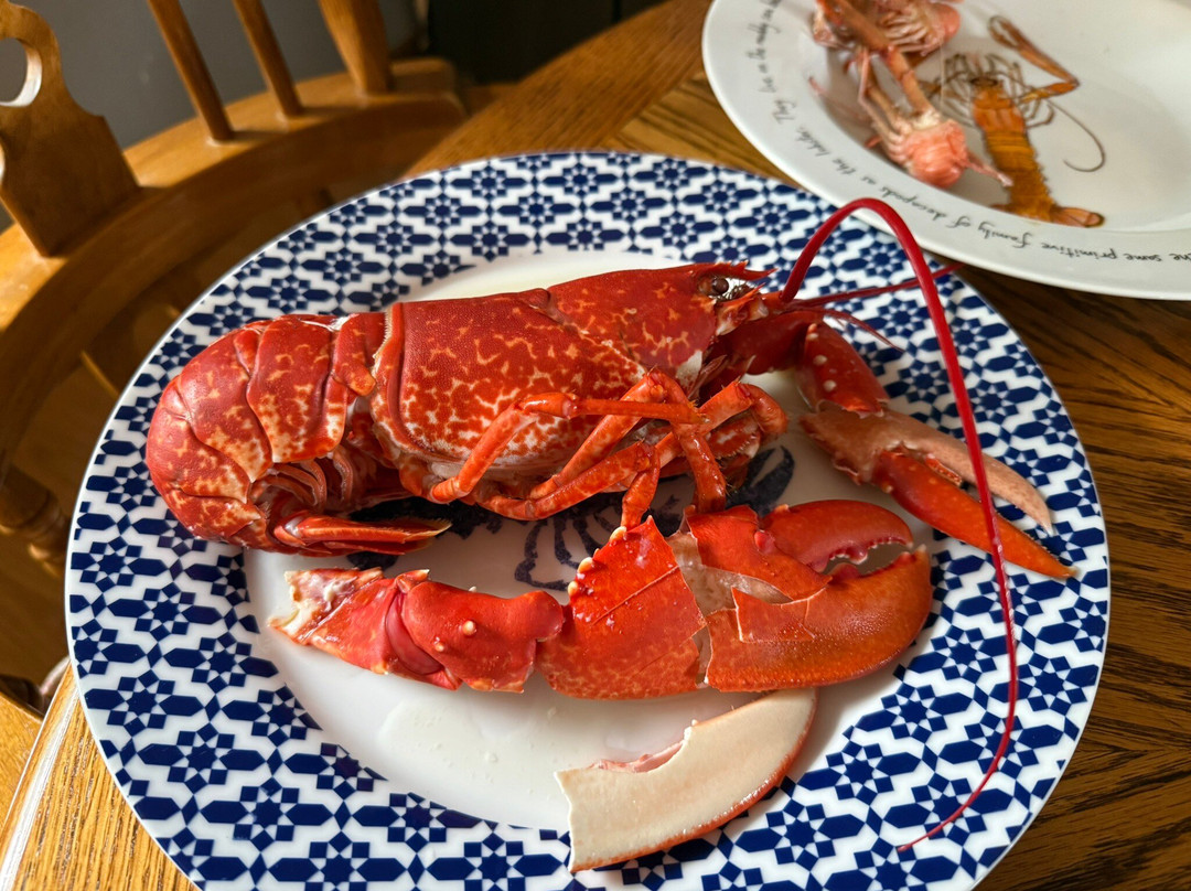 Shellfish Safaris-Badachro必去景点