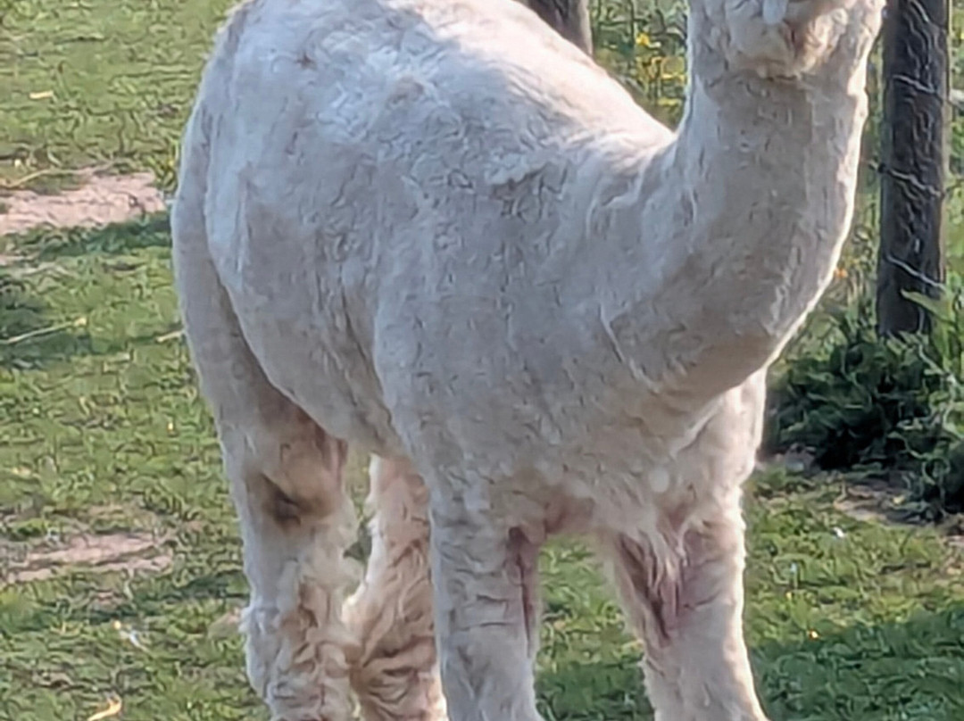 老乳牛场酒店主图