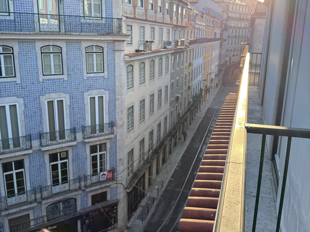 The House on Pink Street主图