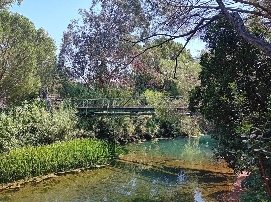 Nascente do Almonda-新托里什必去景点