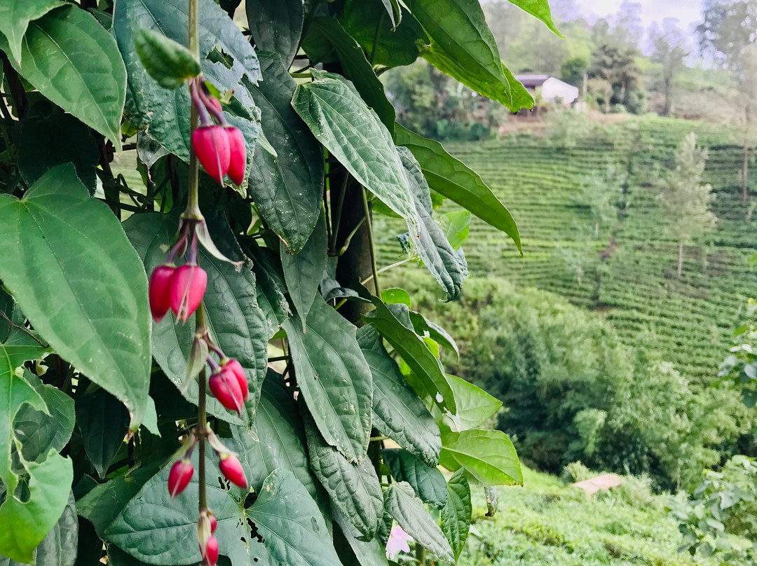 总督府酒店主图