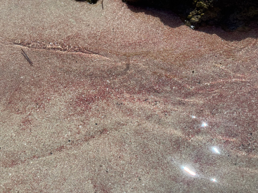 Tiny Beach Pink Sand-Limeniskos必去景点
