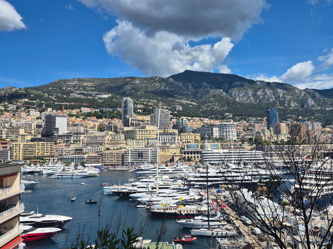 Gare De Monaco Monte-Carlo-蒙特卡洛必去景点