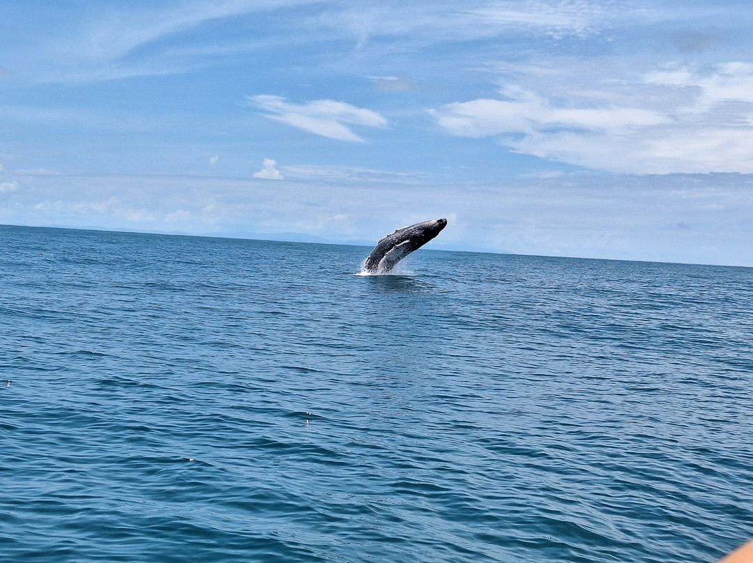 Aventura Uno-彭塔雷纳斯必去景点