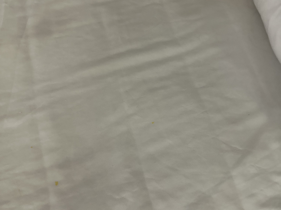 Super 8 by Wyndham Bath Hammondsport Area主图