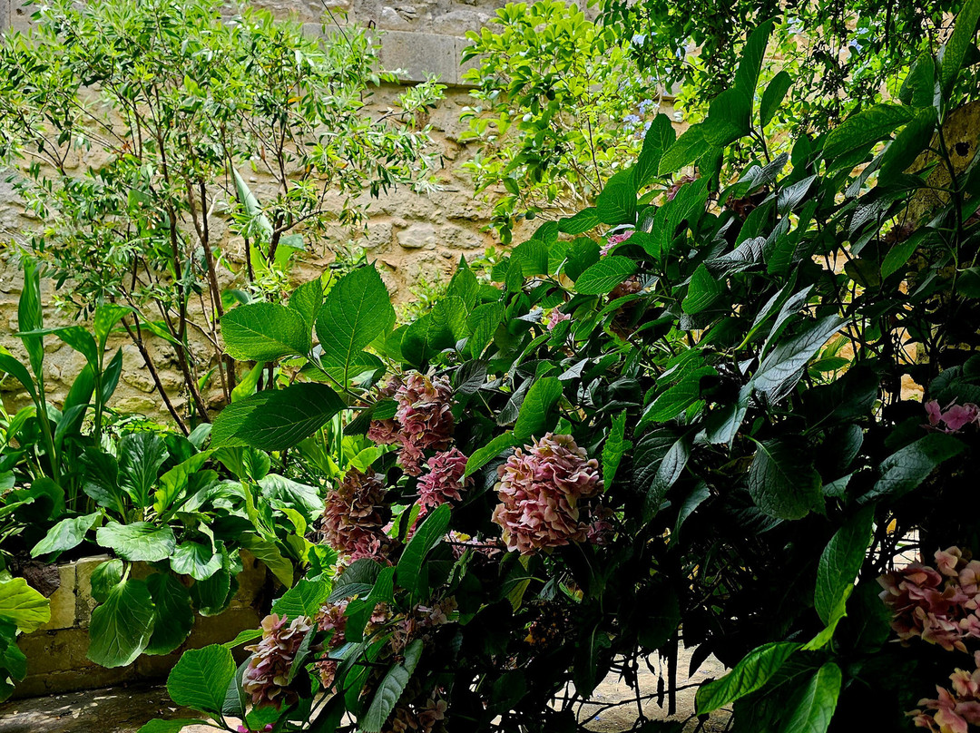 Centro Espositivo Museale Delle Tradizioni Nobiliari-帕拉佐洛-阿克雷德必去景点