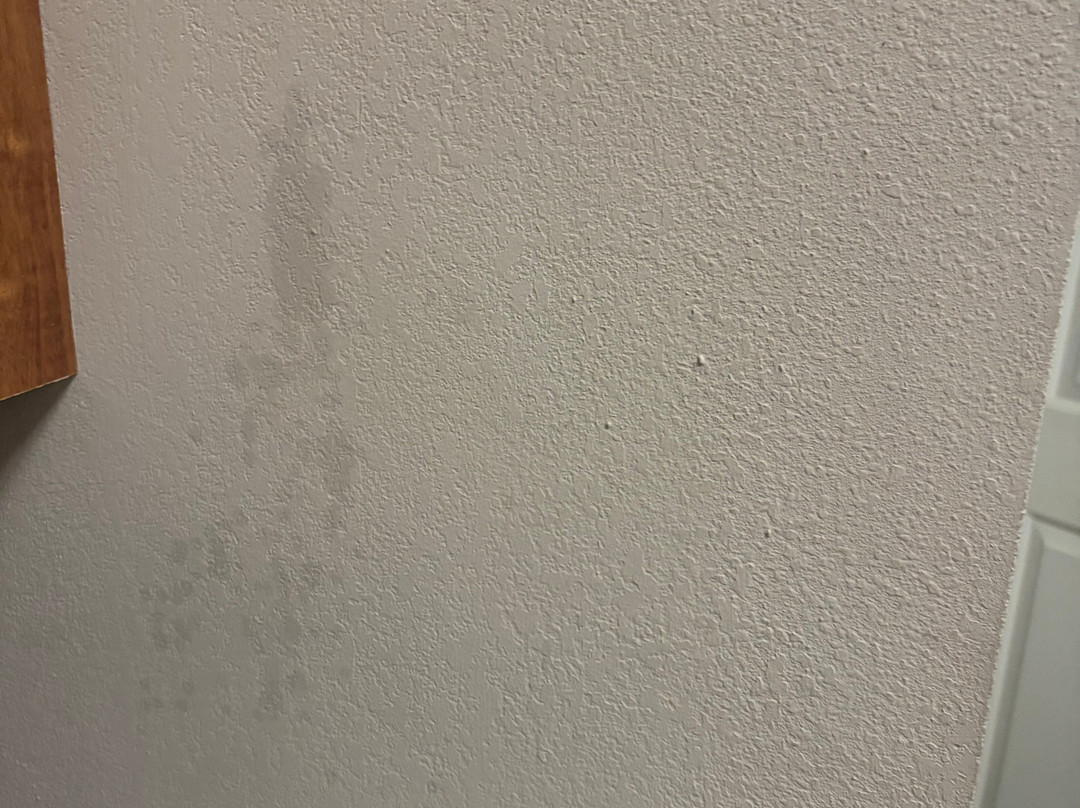 Homewood Suites by Hilton Aurora Naperville主图