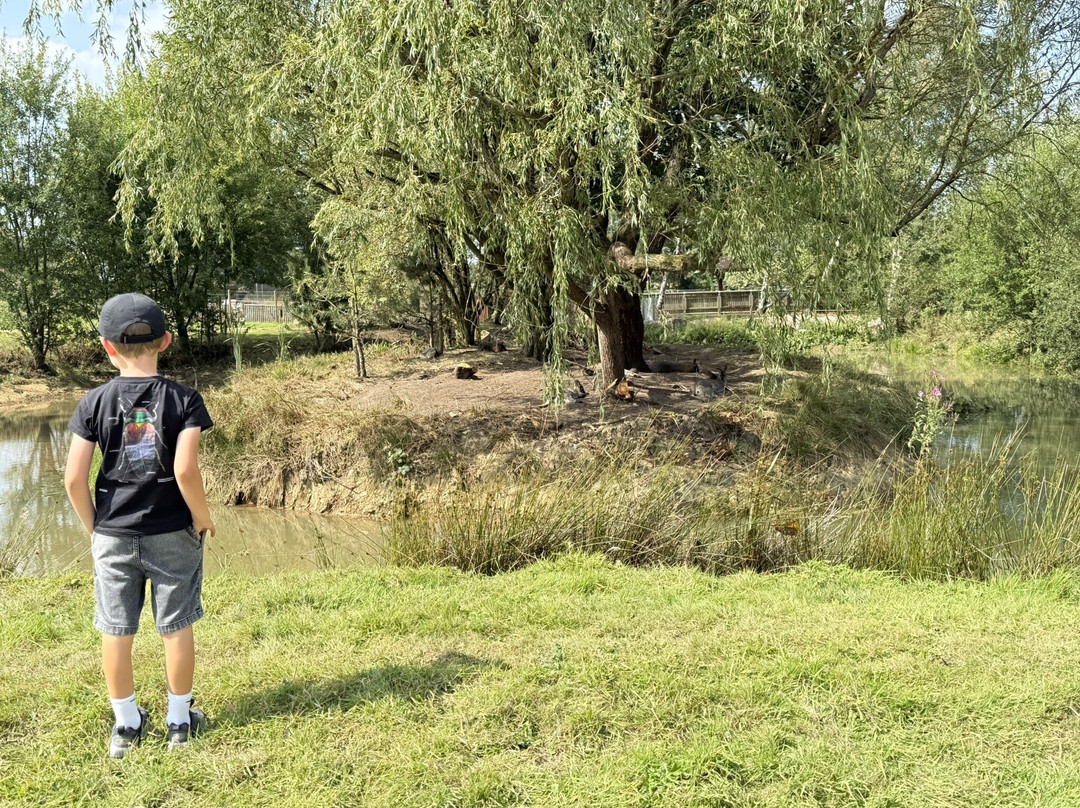 Peak Wildlife Park-Winkhill必去景点