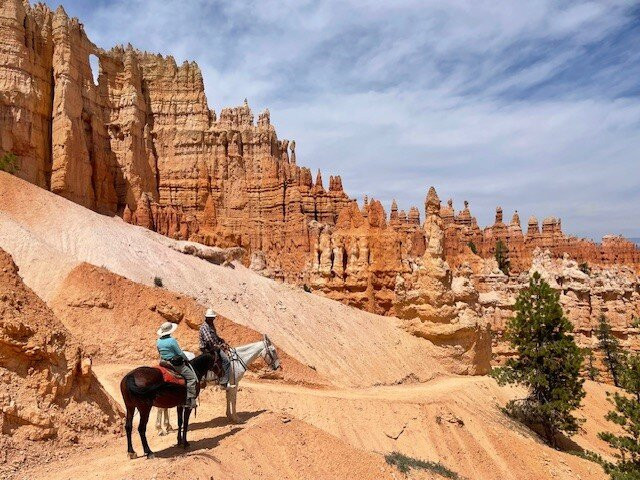 Red Canyon Trail Rides-布莱斯峡谷国家公园必去景点