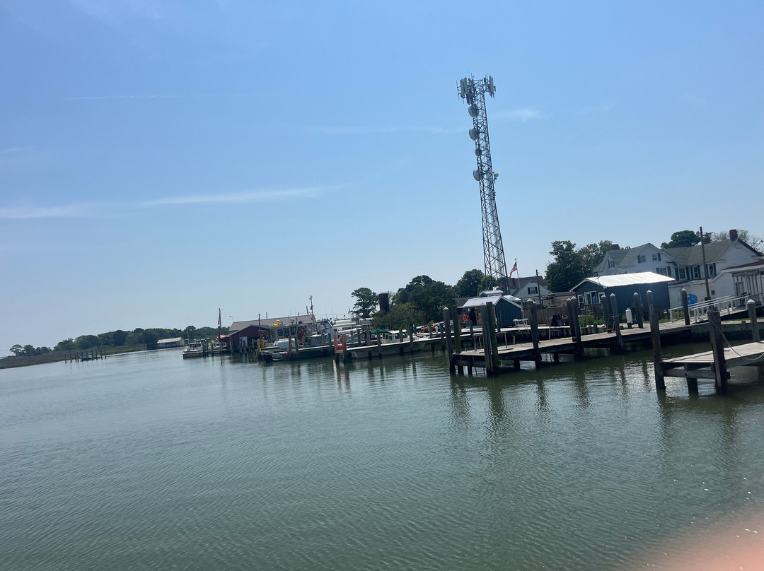 Smith Island Cruises-Crisfield必去景点