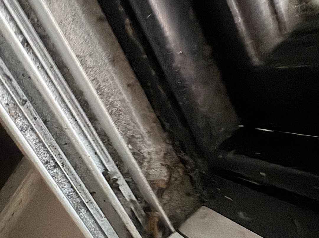 The County Hotel Haverfordwest主图