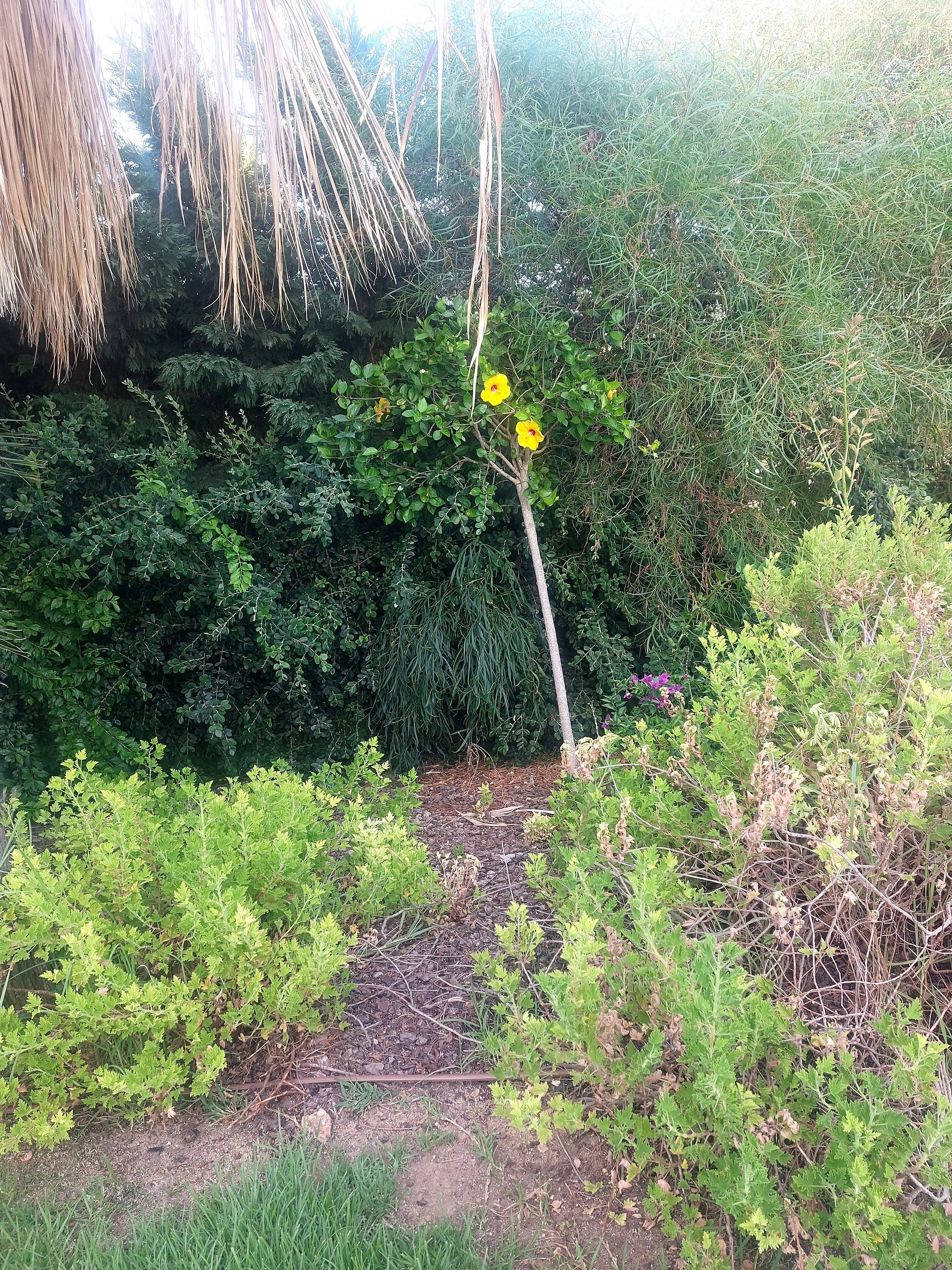 AP Cabanas Beach & Nature-浴室