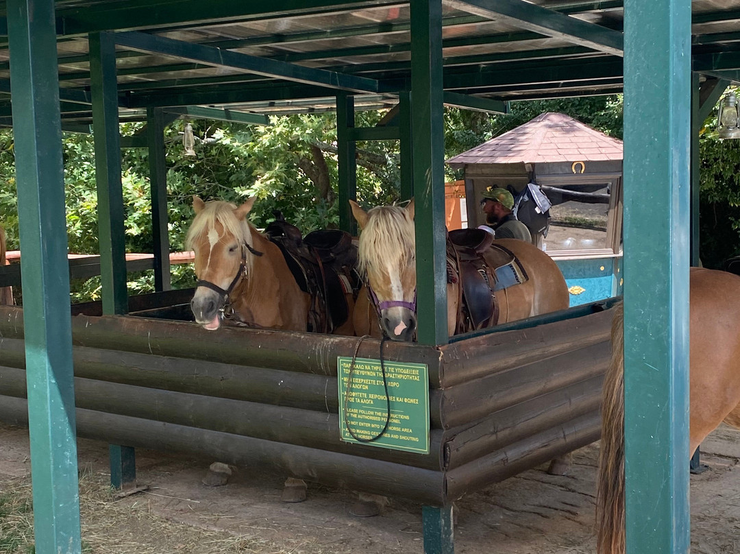 Saloon Park-卡尔派尼西必去景点