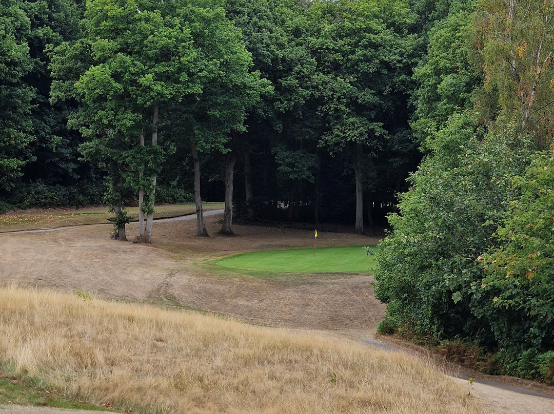 Wharton Park Golf & Country Club主图