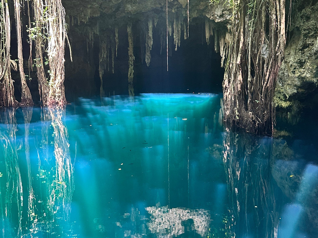 Experiencia Privada en Cenote Exclusivo-巴利亚多利德必去景点