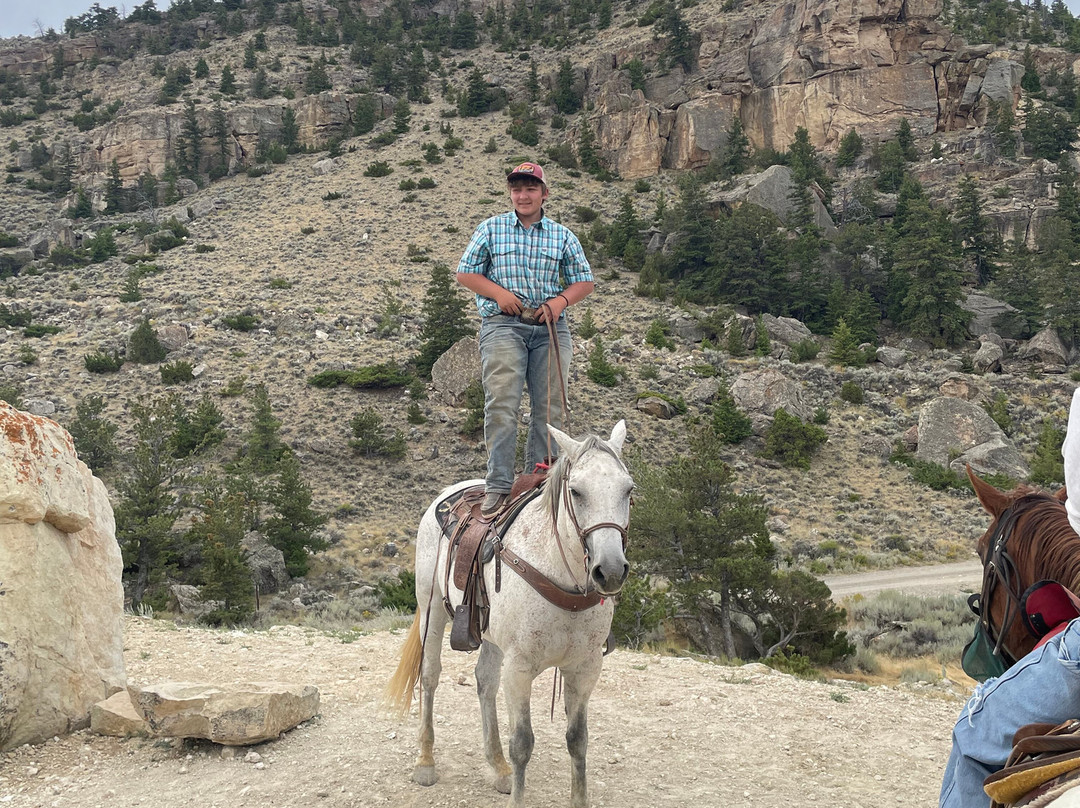 Cedar Mountain Trail Rides-科迪必去景点