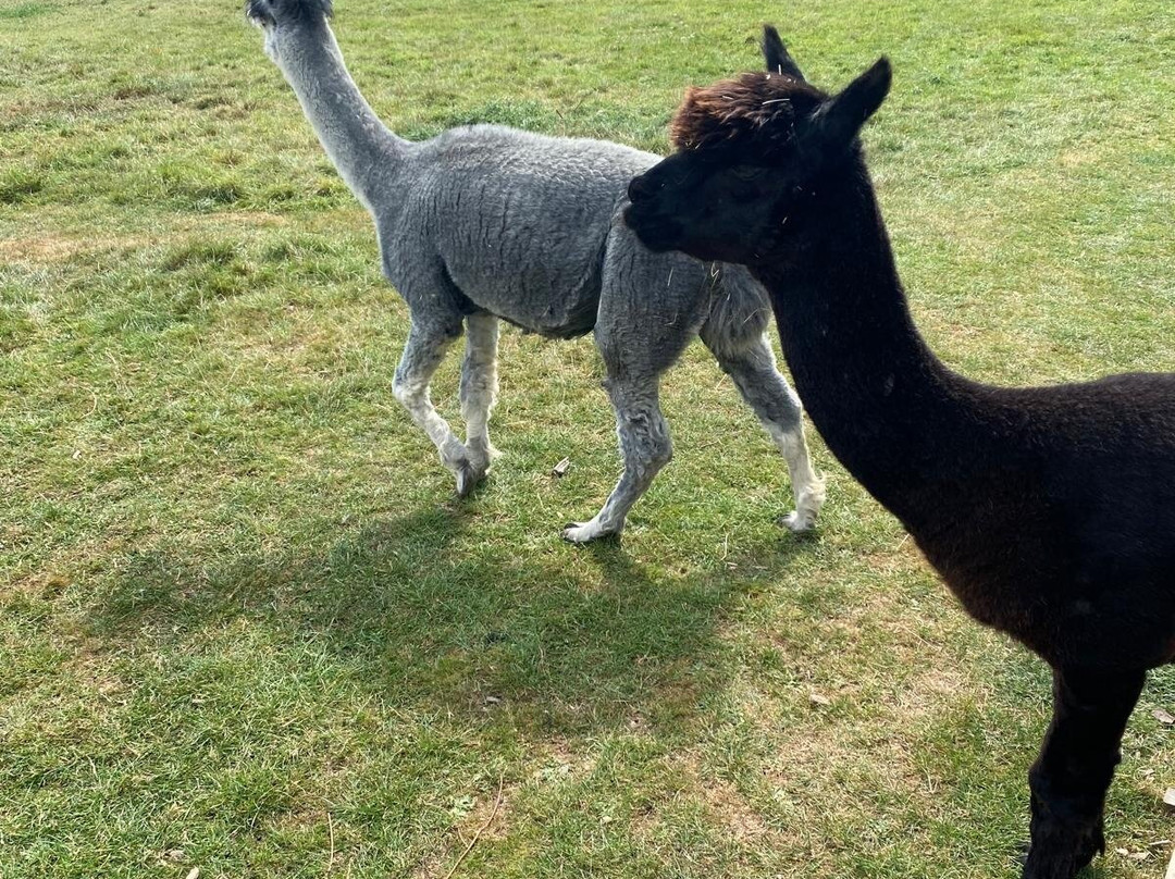 Fisherwood farm-Robertsbridge必去景点