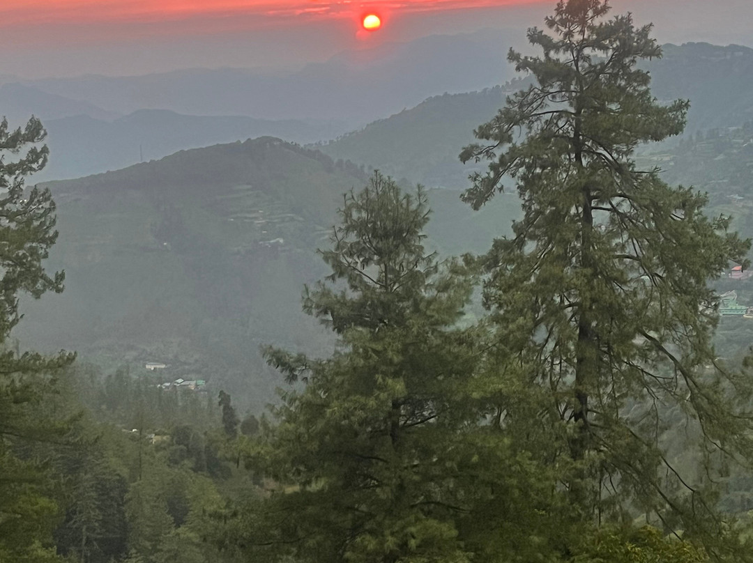 Udman Grand Mashobra主图