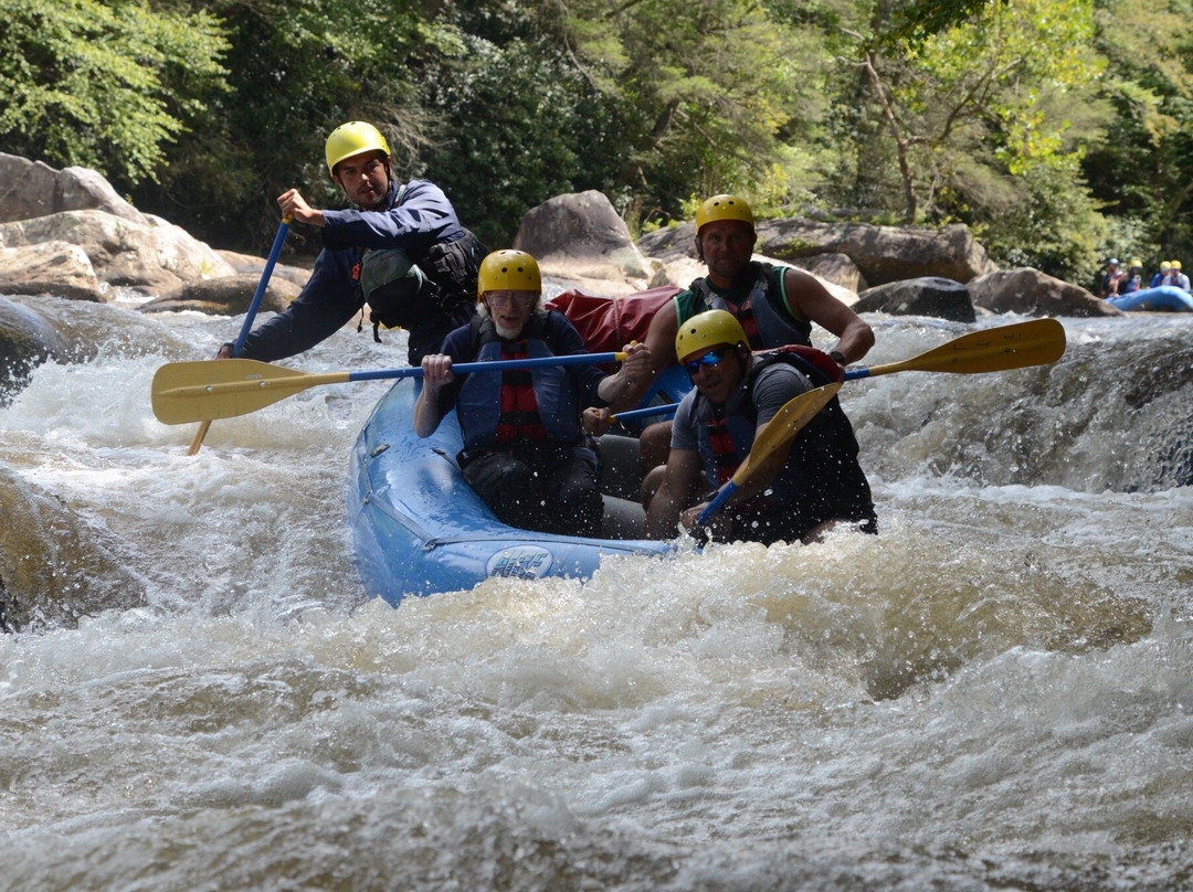 Precision Rafting Expeditions-Friendsville必去景点