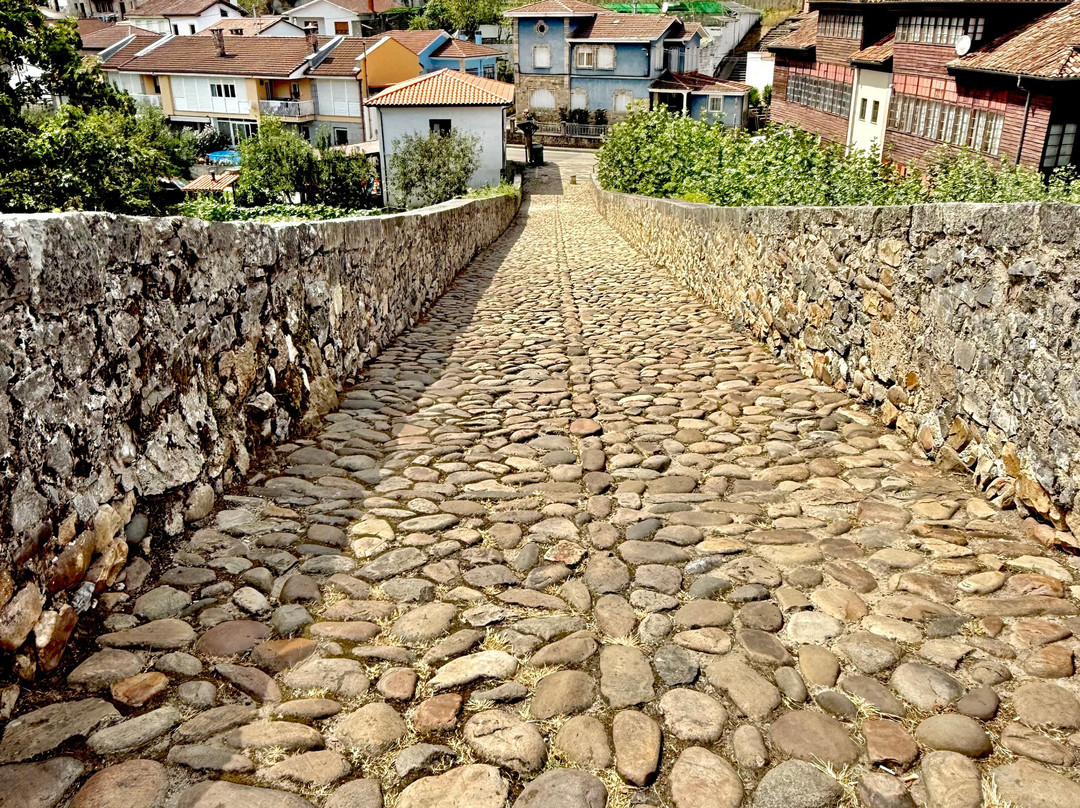 Puente Romano-Cangas de Onis必去景点