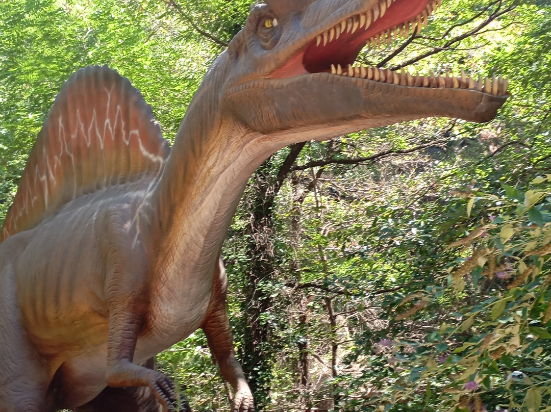 Dinopedia Parc-La Grand-Combe必去景点