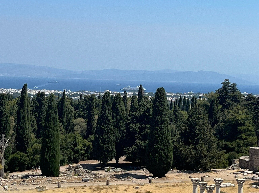 Kos Private Tours-Kos Town必去景点