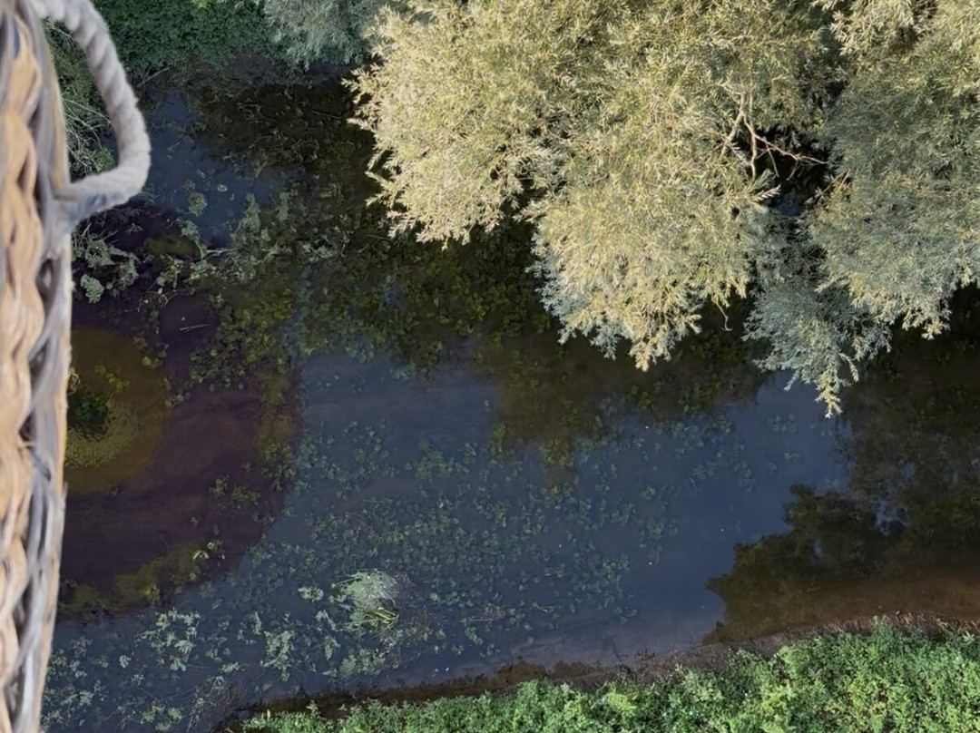 Kent Ballooning-阿什福德必去景点