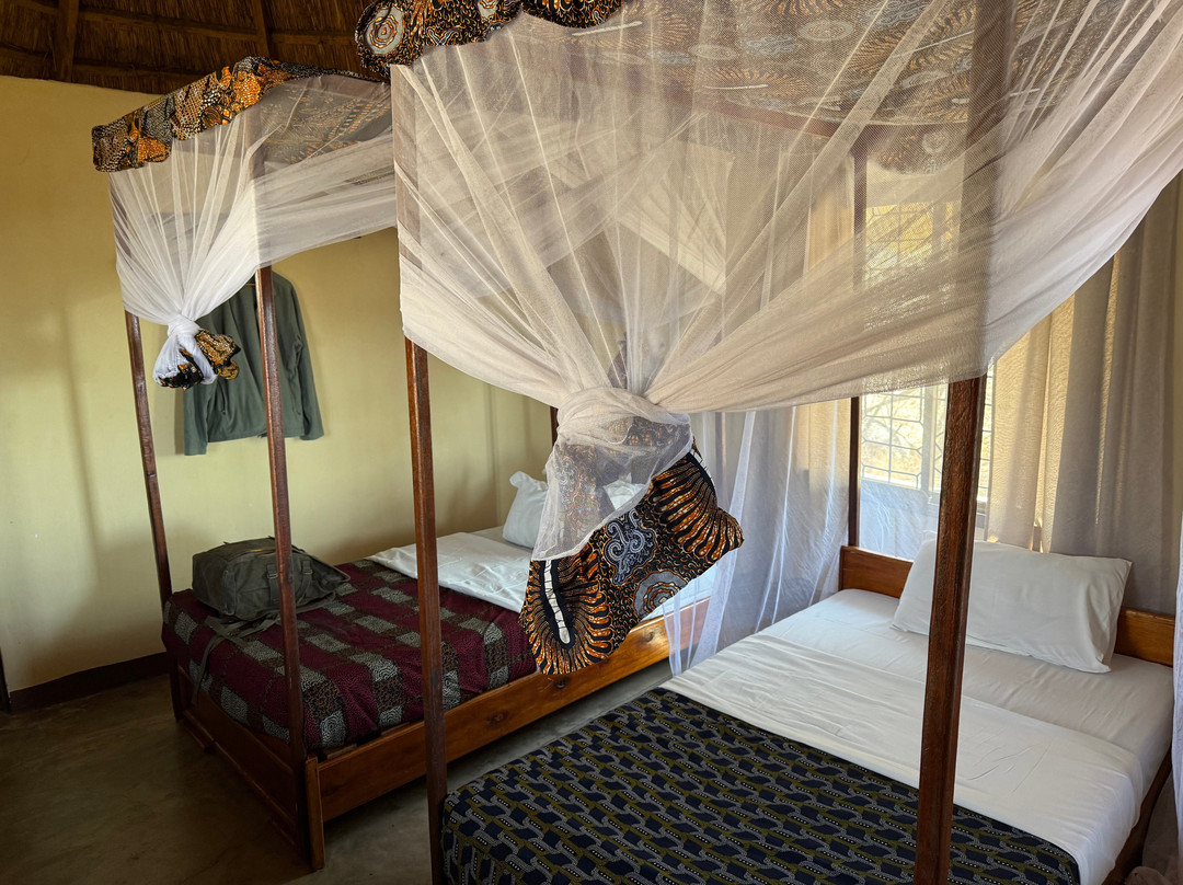 Ruaha Hilltop Lodge主图