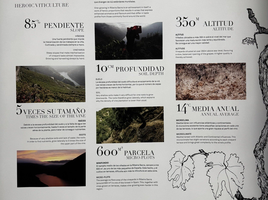 Bodegas Regina Viarum-Sober必去景点