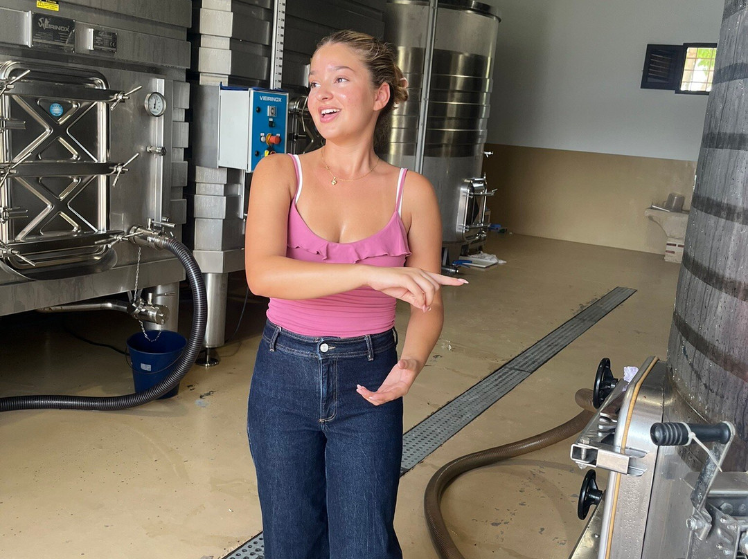 Bodegas Faelo-埃尔切必去景点