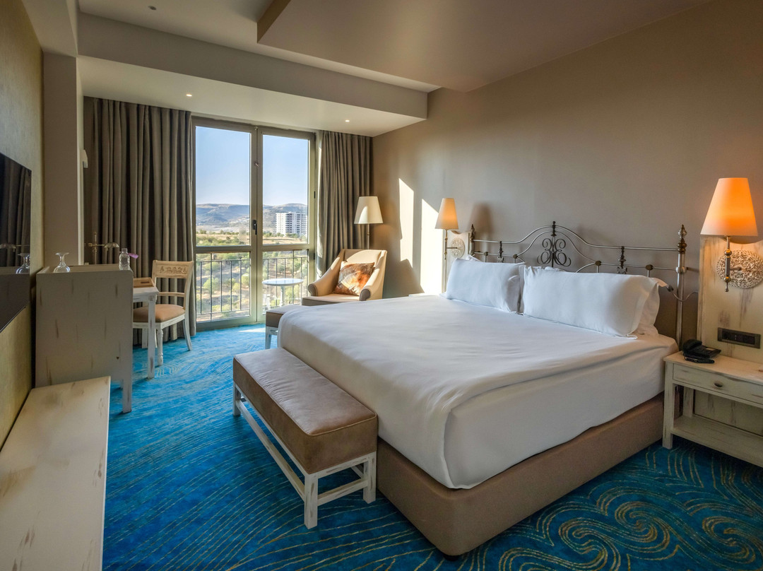 Ramada Plaza by Wyndham Mardin主图