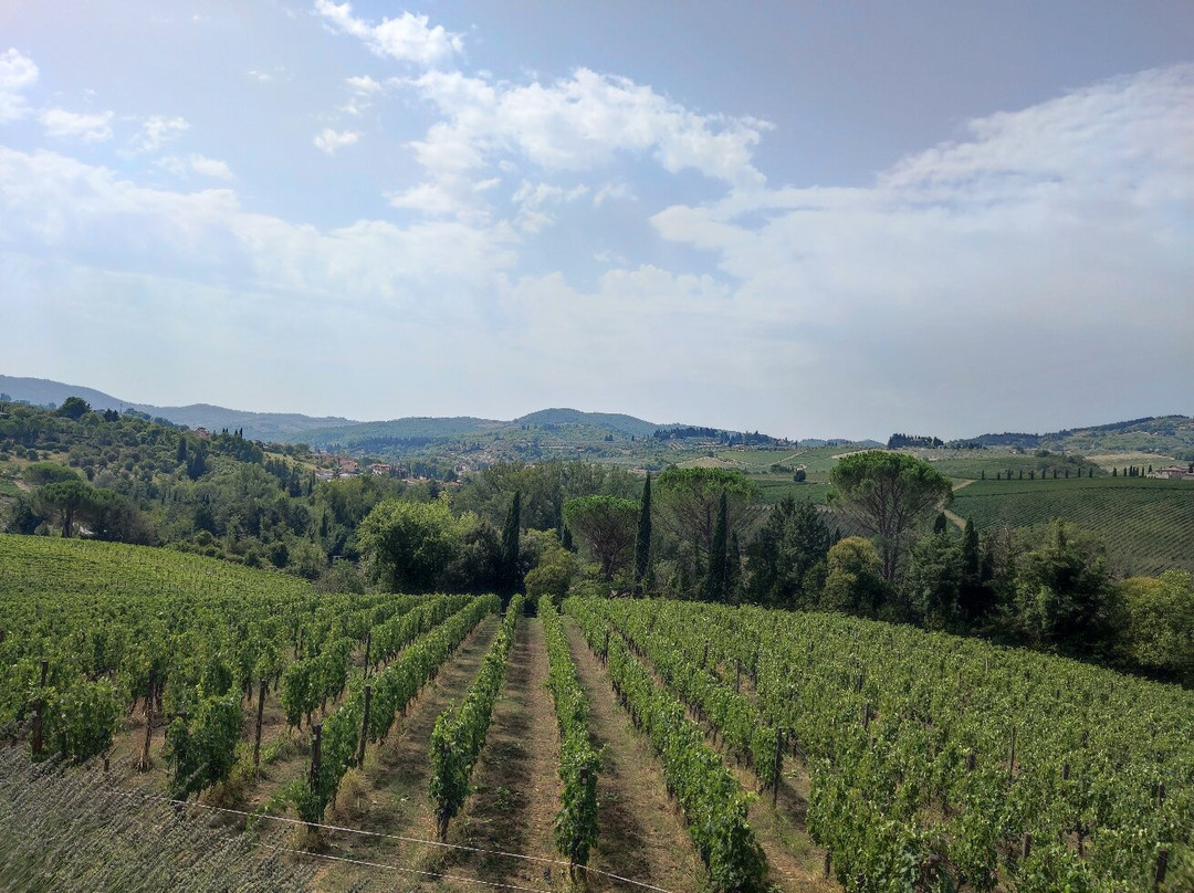 Montecalvi Winery-格雷韦伊恩基亚恩蒂必去景点