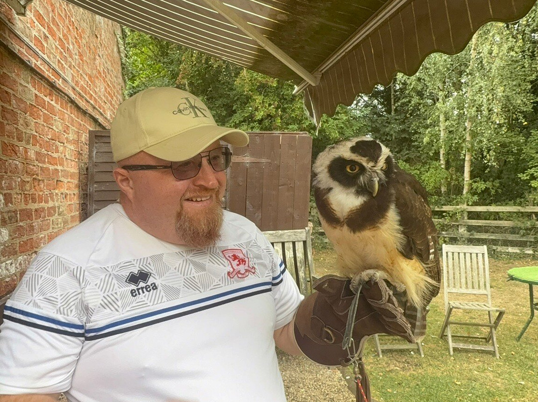 Thirsk Birds Of Prey Centre-瑟斯克必去景点