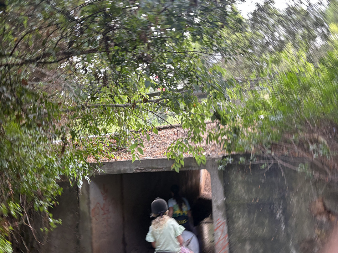 Ranxo Ses Roques-阿尔库迪亚港必去景点