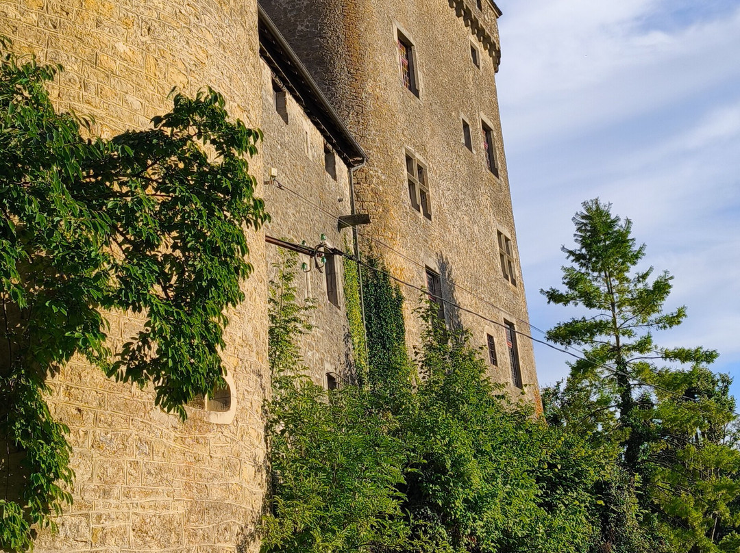 Château du Pin-Le Pin必去景点