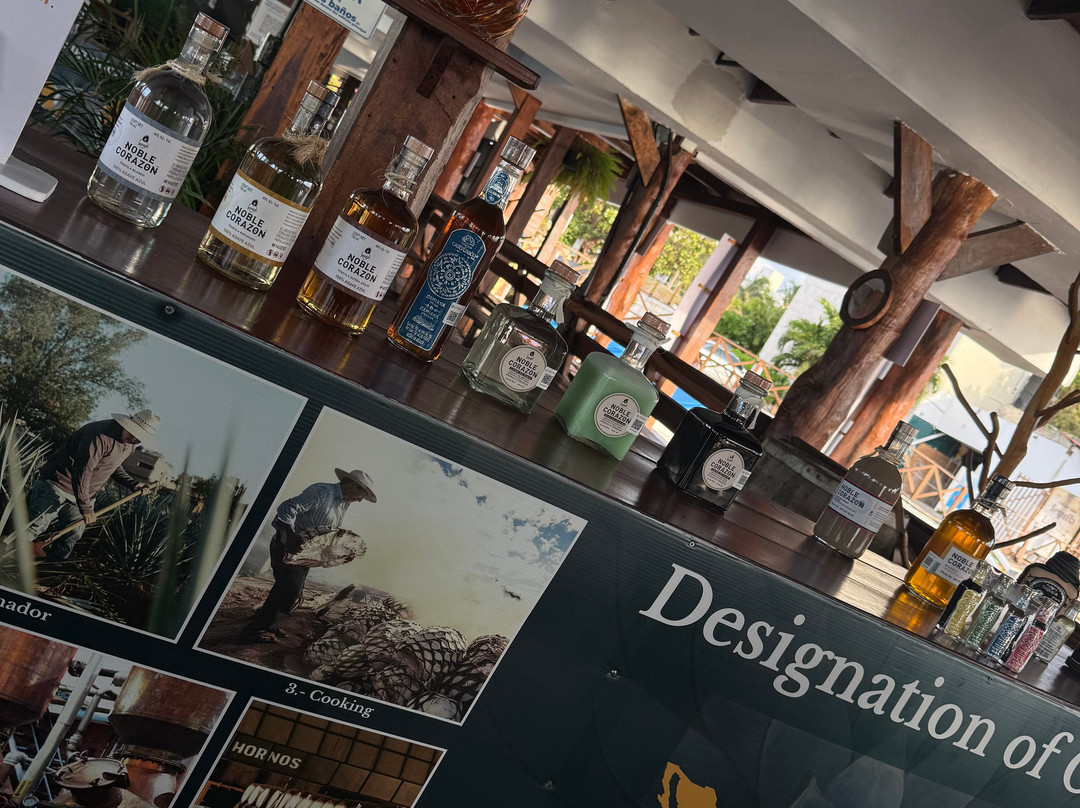Cancun Tequila Tasting-坎昆必去景点