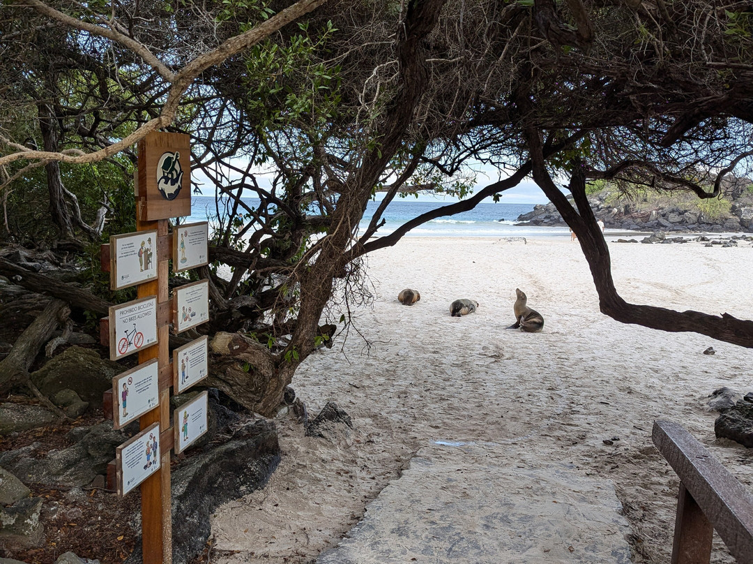 Puerto Chino Beach-圣克里斯托瓦尔必去景点