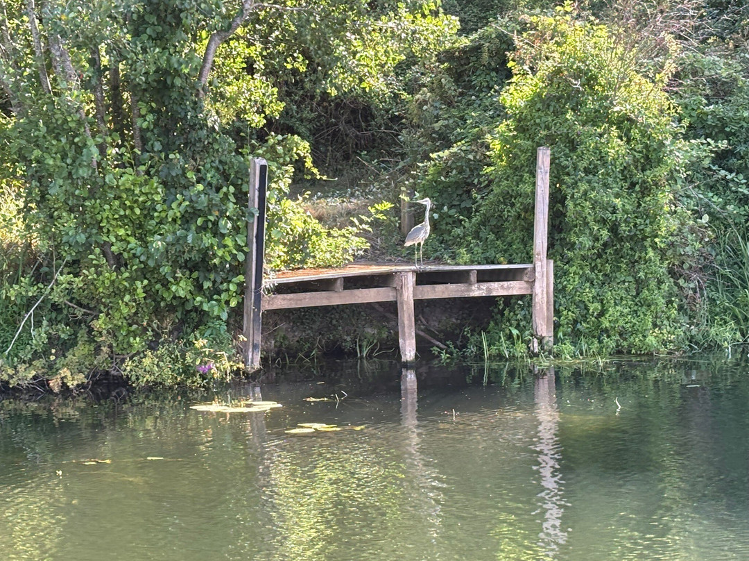 Cafwin Cruises Narrowboat Holidays Ltd-Suckley必去景点