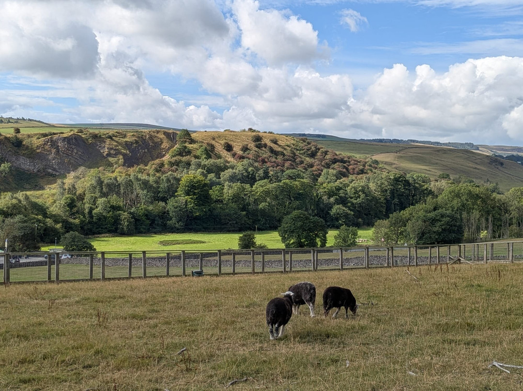 Hesketh Farm Park-斯基普顿必去景点