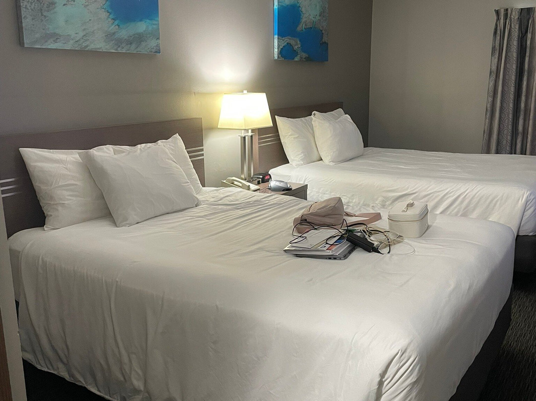 Stanford Inn Grande Prairie主图