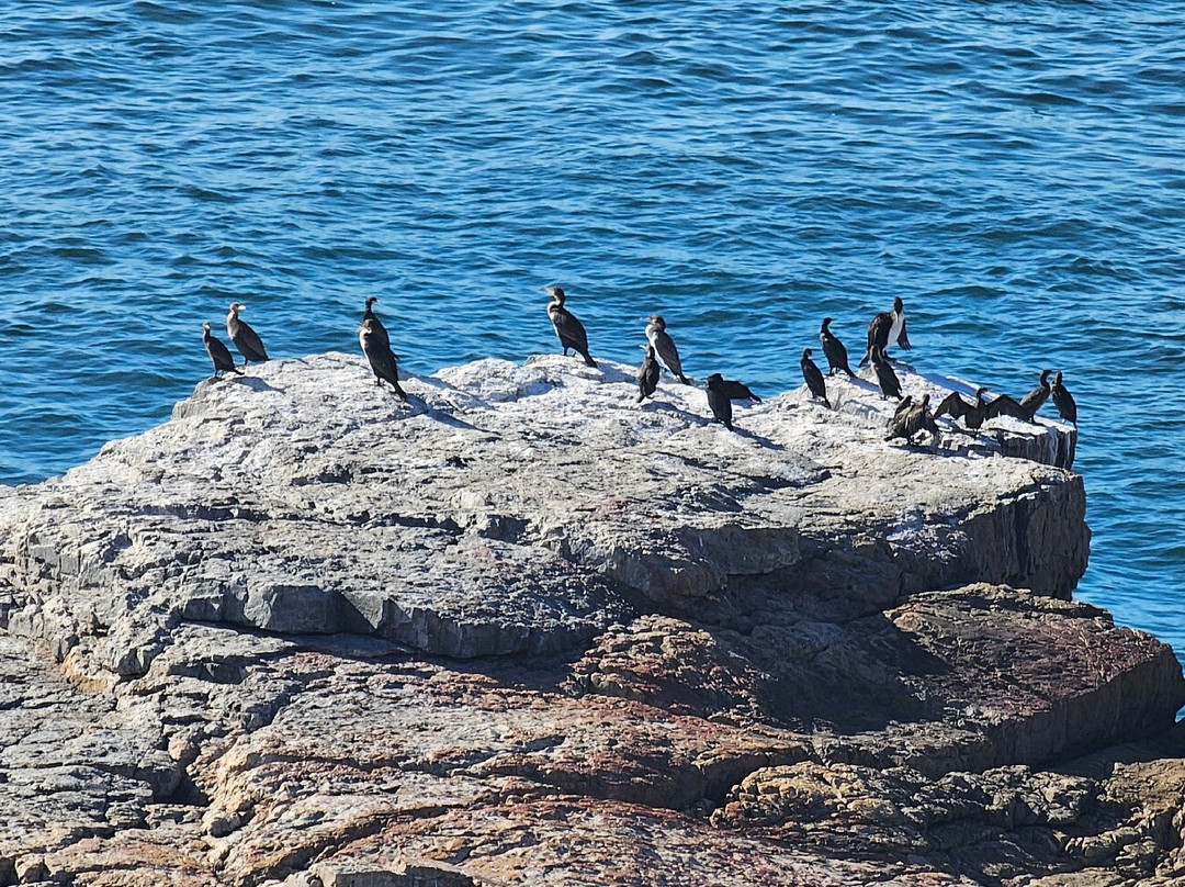 Sandbaai Country House主图