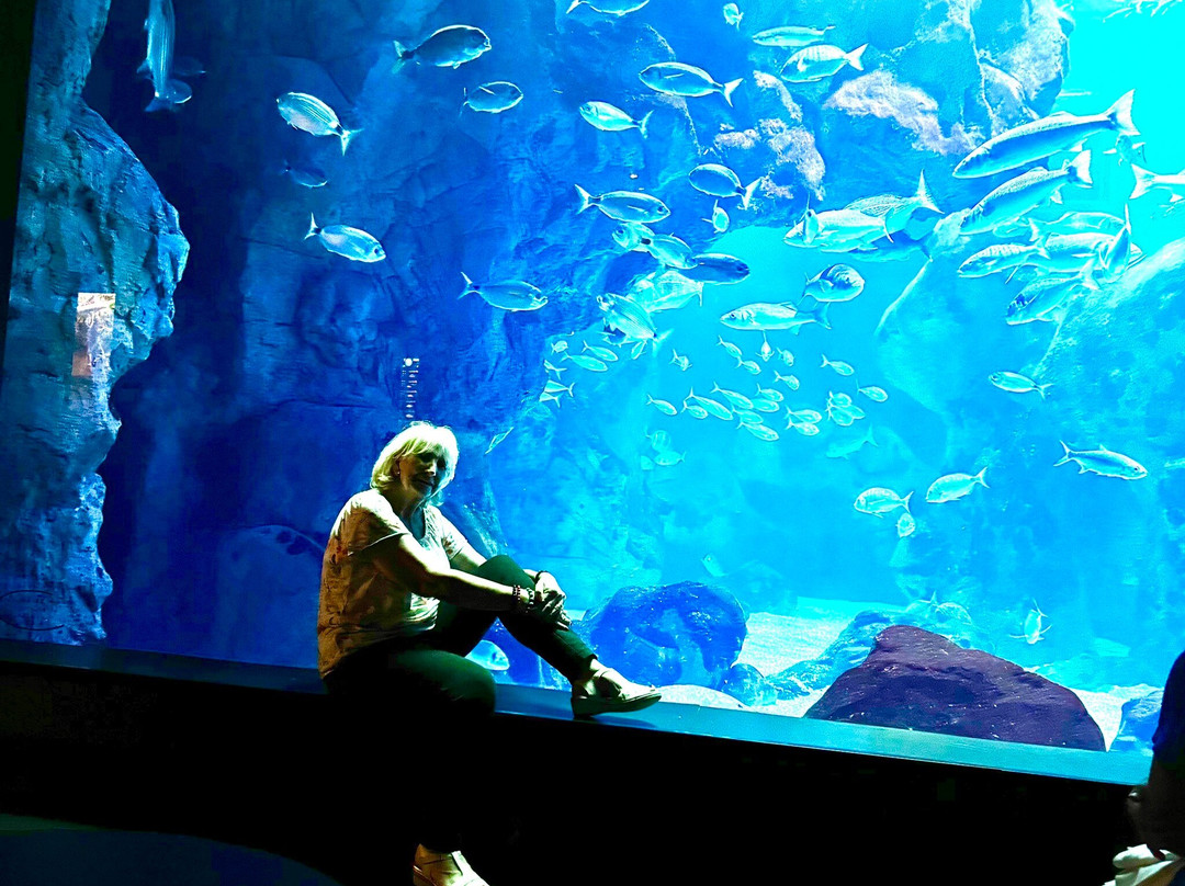Bioparc Acuario De Gijón-希洪必去景点