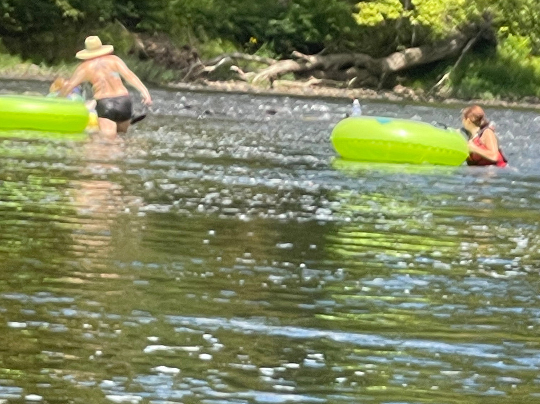 Blackwater Outdoor Adventures-Parsons必去景点